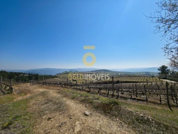 Quinta T0 para Venda em São Mamede de Ribatua