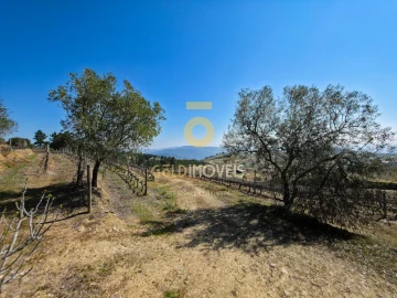 Quinta T0 para Venda em São Mamede de Ribatua