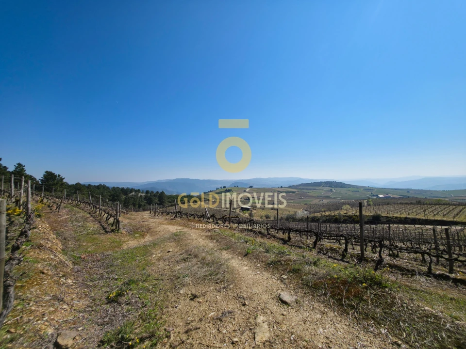 Quinta T0 para Venda em São Mamede de Ribatua Foto 3