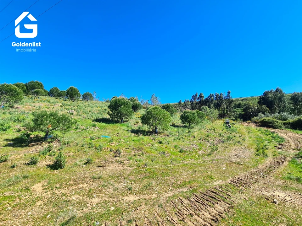 Terreno para Venda em Cebolais de Cima e Retaxo Foto 20