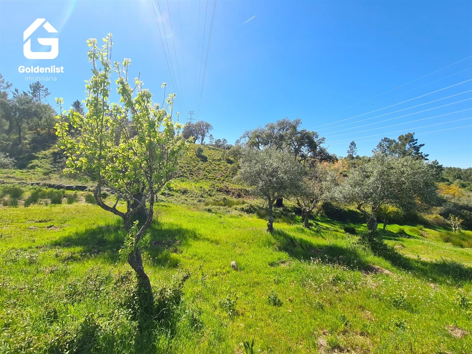 Terreno para Venda em Cebolais de Cima e Retaxo Foto 17