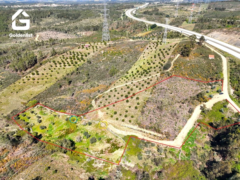 Terreno para Venda em Cebolais de Cima e Retaxo Foto 1