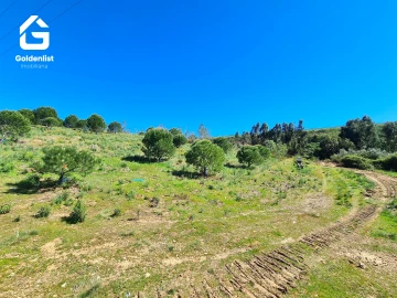Terreno para Venda em Cebolais de Cima e Retaxo