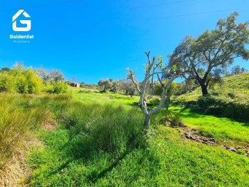 Terreno para Venda em Cebolais de Cima e Retaxo