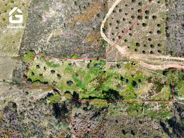 Terreno para Venda em Cebolais de Cima e Retaxo