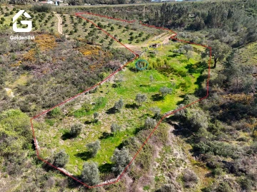 Terreno para Venda em Cebolais de Cima e Retaxo