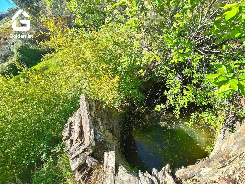 Terreno para Venda em Cebolais de Cima e Retaxo Foto 13