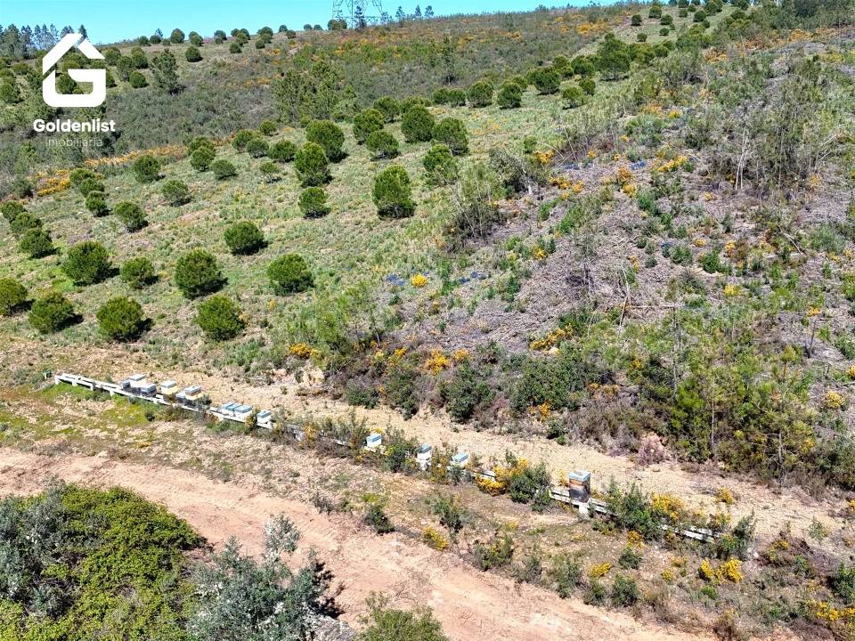 Terreno para Venda em Cebolais de Cima e Retaxo Foto 2
