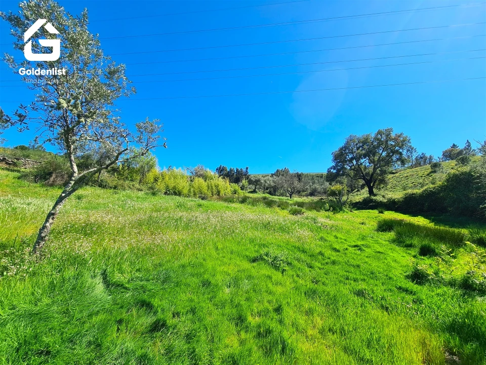 Terreno para Venda em Cebolais de Cima e Retaxo Foto 10