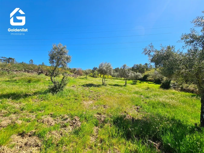 Terreno para Venda em Cebolais de Cima e Retaxo Foto 9