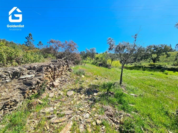 Terreno para Venda em Cebolais de Cima e Retaxo Foto 3