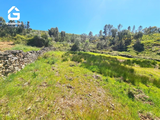Terreno para Venda em Cebolais de Cima e Retaxo Foto 18