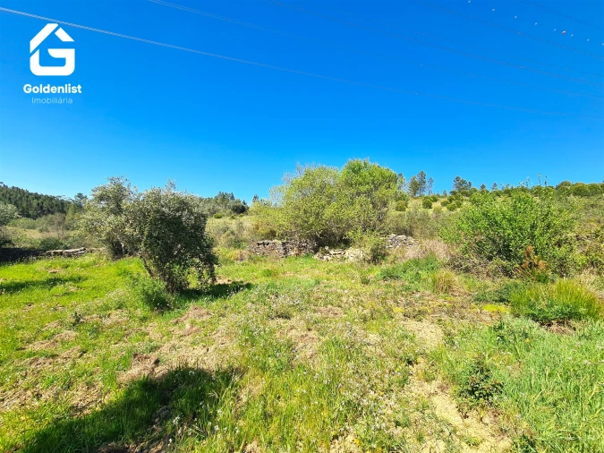 Terreno para Venda em Cebolais de Cima e Retaxo Foto 8
