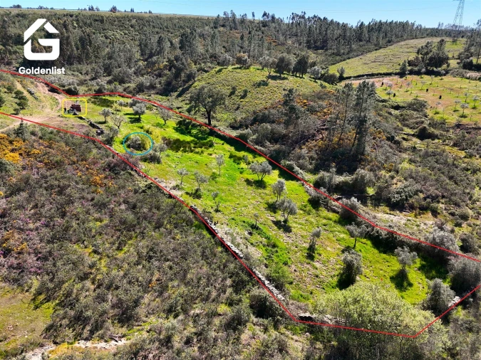 Terreno para Venda em Cebolais de Cima e Retaxo Foto 5