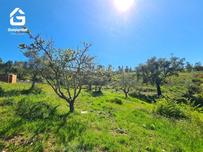 Terreno para Venda em Cebolais de Cima e Retaxo Foto 14