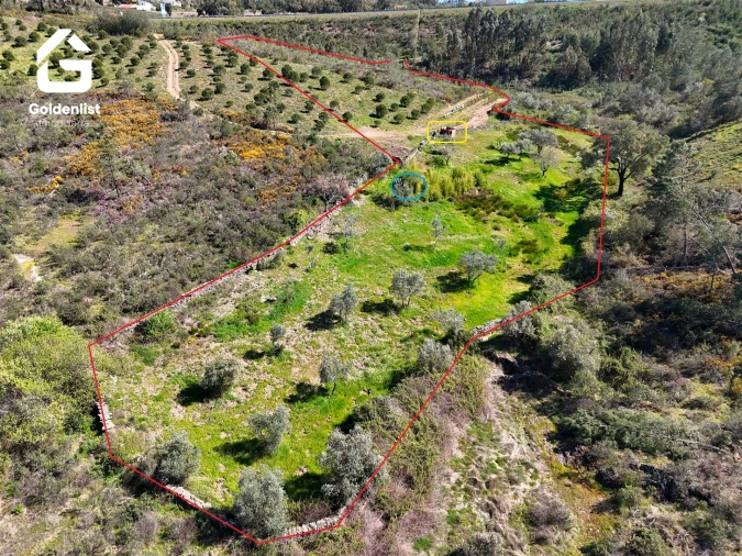 Terreno para Venda em Cebolais de Cima e Retaxo Foto 4