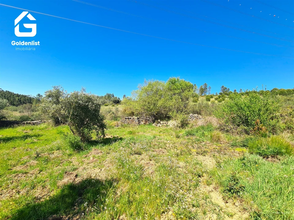 Terreno para Venda em Cebolais de Cima e Retaxo Foto 8