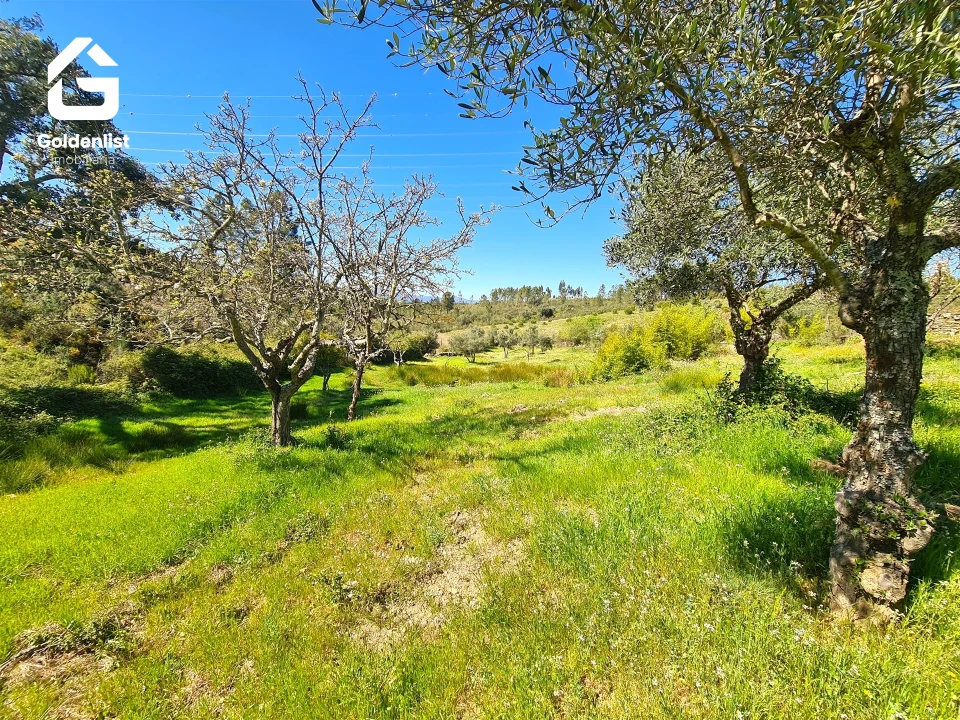 Terreno para Venda em Cebolais de Cima e Retaxo Foto 19