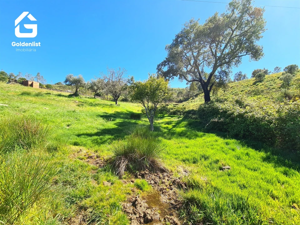 Terreno para Venda em Cebolais de Cima e Retaxo Foto 12
