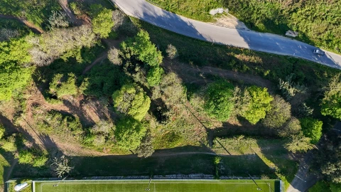 Terreno para Venda em Livração