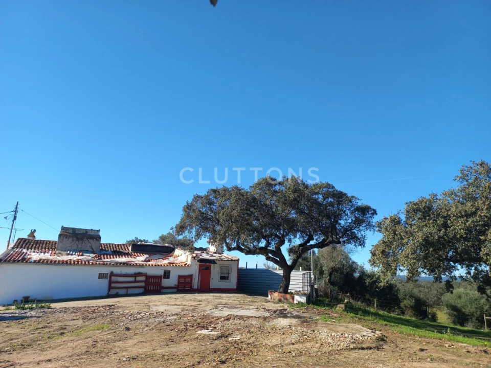 Terreno para Venda em Malagueira e Horta das Figueiras Foto 18