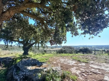 Terreno para Venda em Malagueira e Horta das Figueiras