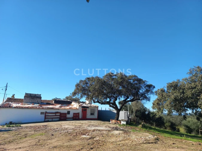Terreno para Venda em Malagueira e Horta das Figueiras Foto 18