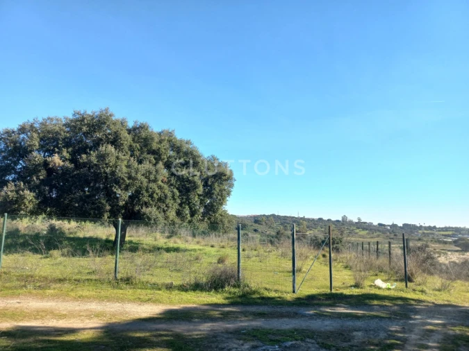 Terreno para Venda em Malagueira e Horta das Figueiras Foto 21