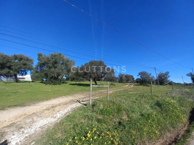 Terreno para Venda em Malagueira e Horta das Figueiras Foto 27