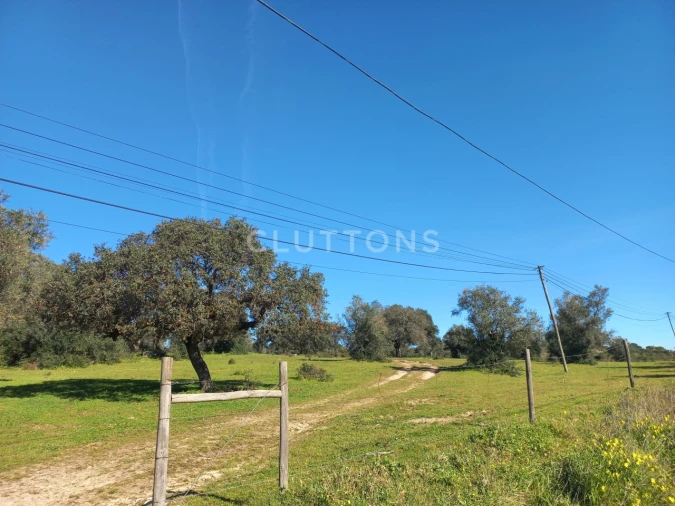 Terreno para Venda em Malagueira e Horta das Figueiras Foto 28