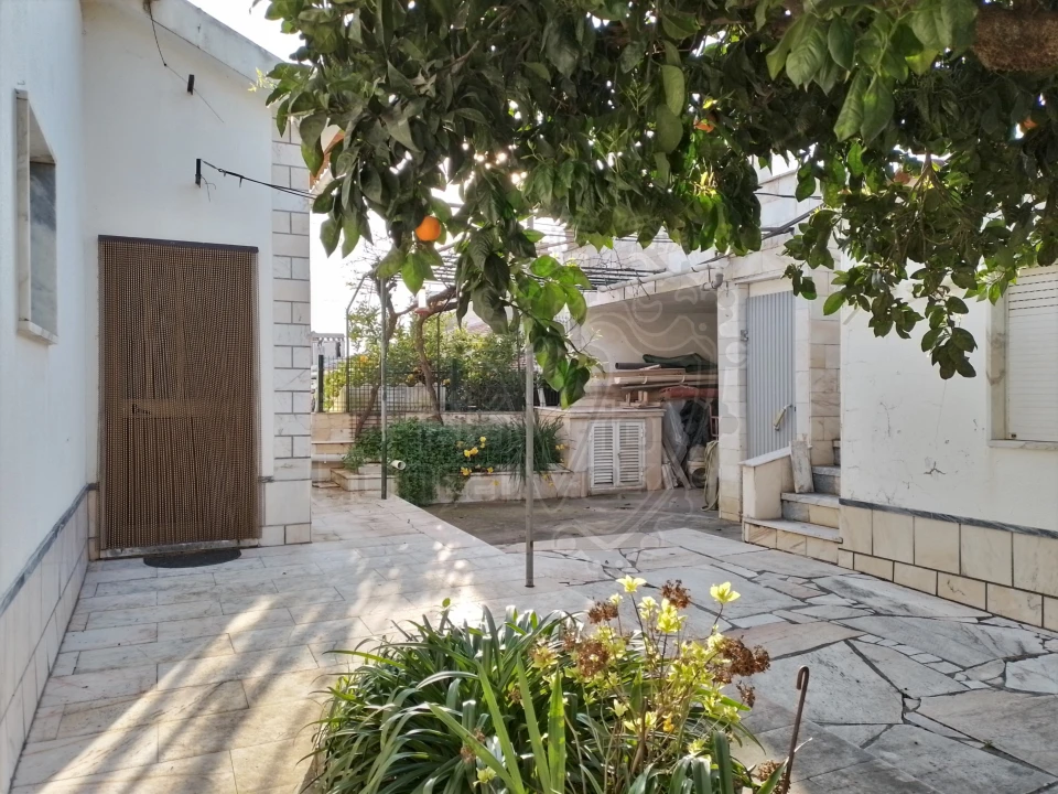 Moradia T7 para Venda em Estremoz (Santa Maria e Santo André) Foto 20