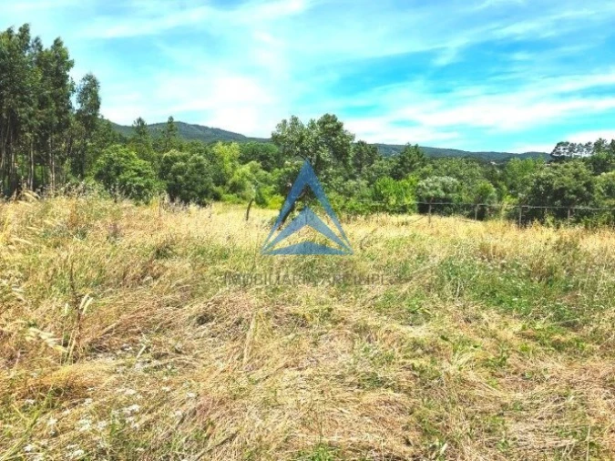 Moradia T2 para Venda em Avelar Foto 7