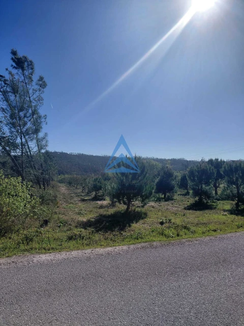 Terreno para Venda em Souto da Carpalhosa e Ortigosa