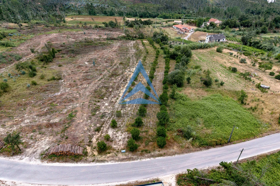 Terreno para Venda em Souto da Carpalhosa e Ortigosa Foto 4