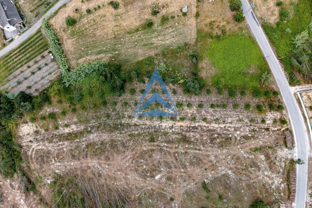 Terreno para Venda em Souto da Carpalhosa e Ortigosa Foto 5
