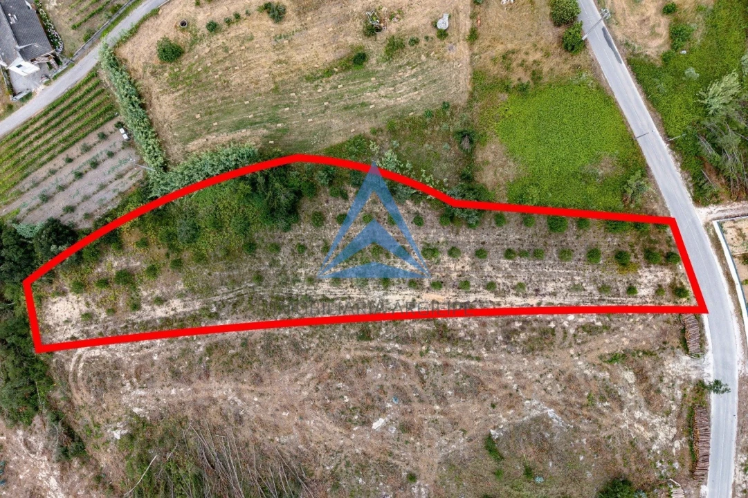 Terreno para Venda em Souto da Carpalhosa e Ortigosa Foto 6