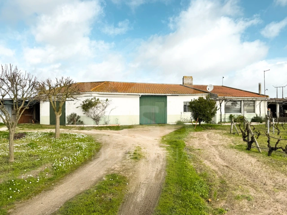 Terreno para Venda em Benavente Foto 1