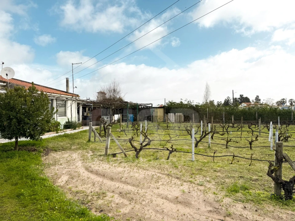 Terreno para Venda em Benavente Foto 16