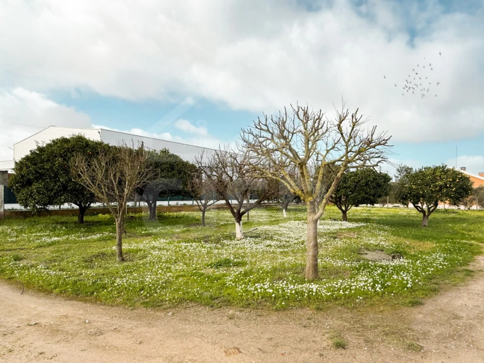 Terreno para Venda em Benavente Foto 17