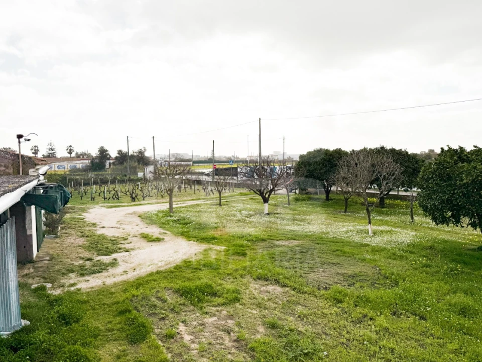 Terreno para Venda em Benavente Foto 18