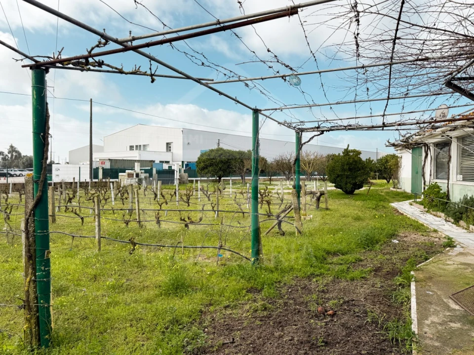 Terreno para Venda em Benavente Foto 19
