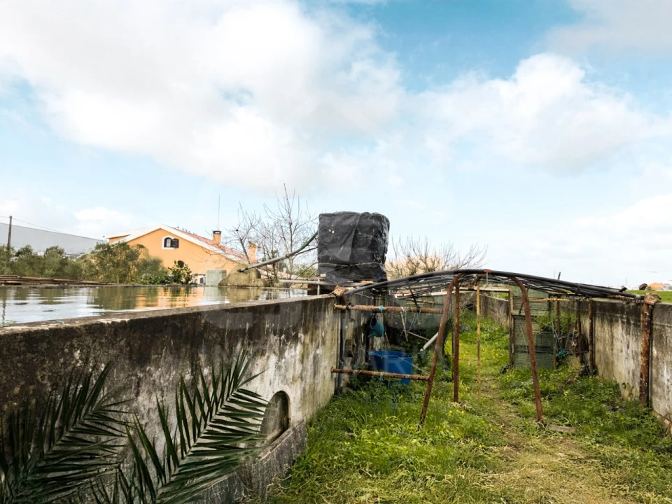 Terreno para Venda em Benavente Foto 20