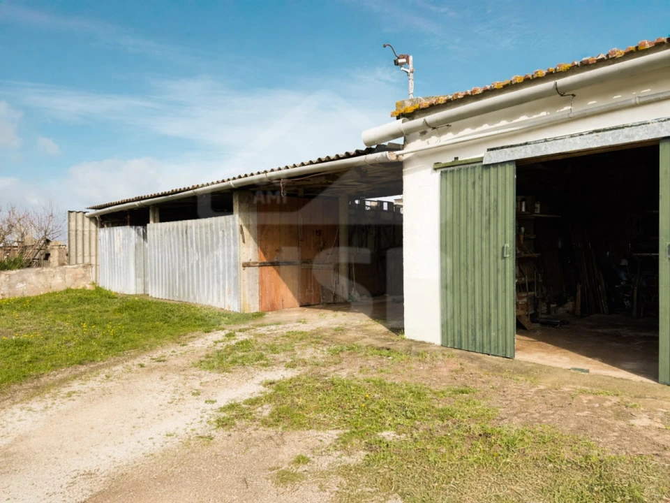 Terreno para Venda em Benavente Foto 14