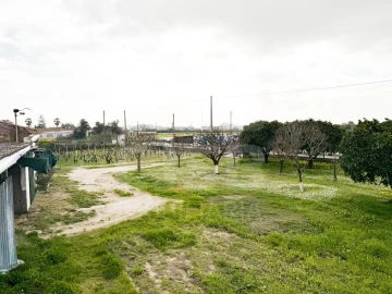 Terreno para Venda em Benavente