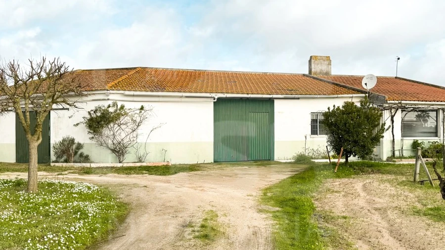 Terreno para Venda em Benavente