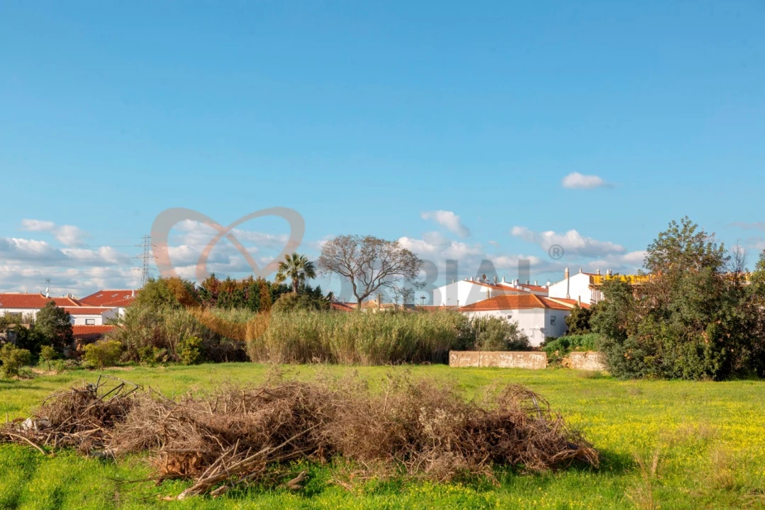 Moradia T6 para Venda em Algoz e Tunes Foto 5