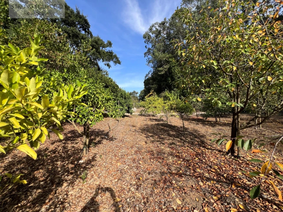 Quinta T5 para Venda em Carvalhal Foto 166