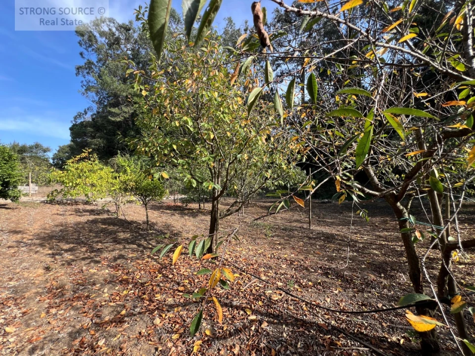 Quinta T5 para Venda em Carvalhal Foto 167