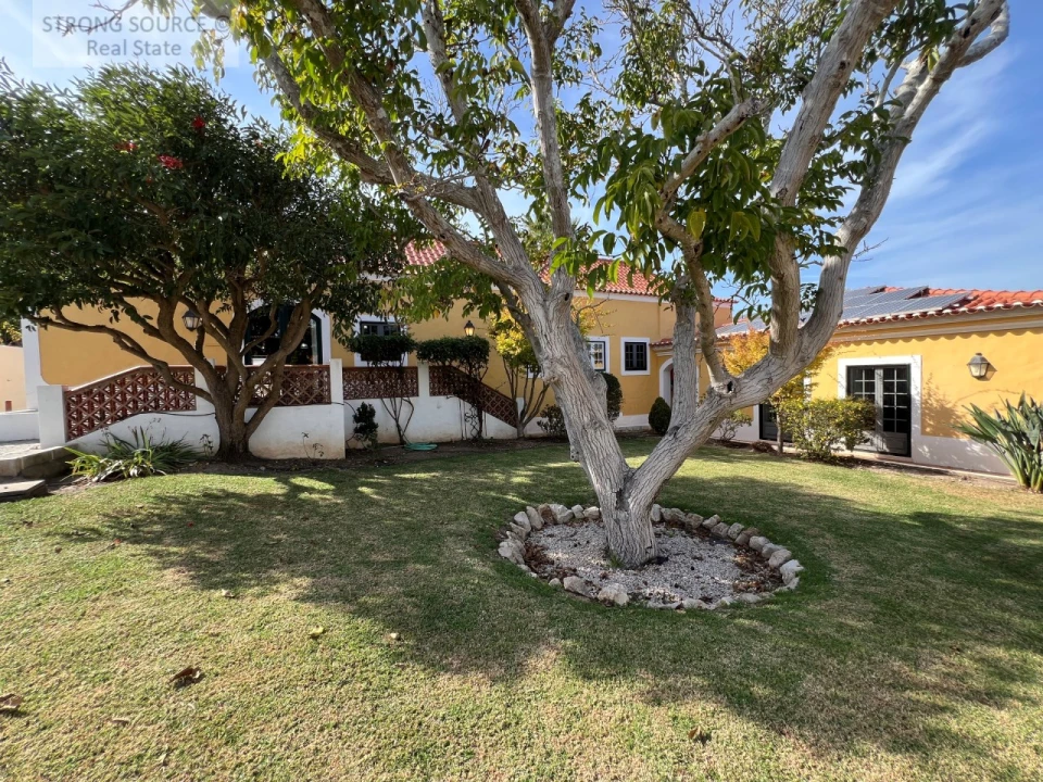 Quinta T5 para Venda em Carvalhal Foto 144