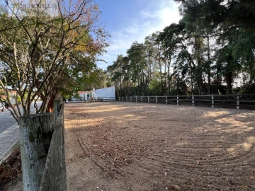 Quinta T5 para Venda em Carvalhal